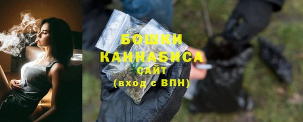 apvp Горнозаводск
