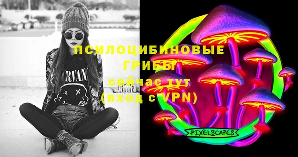 apvp Горнозаводск