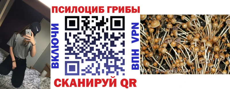 Псилоцибиновые грибы прущие грибы OMG ссылка Нея